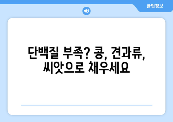 식물성 다이어트를 위한 영양 식단 구조 및 레시피