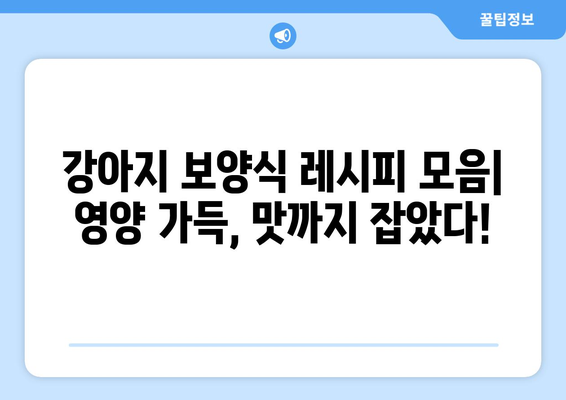 강아지 보양식 레시피와 후기 공유