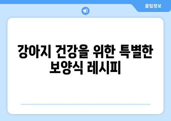 강아지 보양식 레시피와 후기 공유