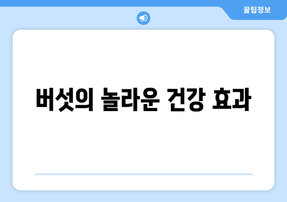 버섯의 놀라운 건강 효과