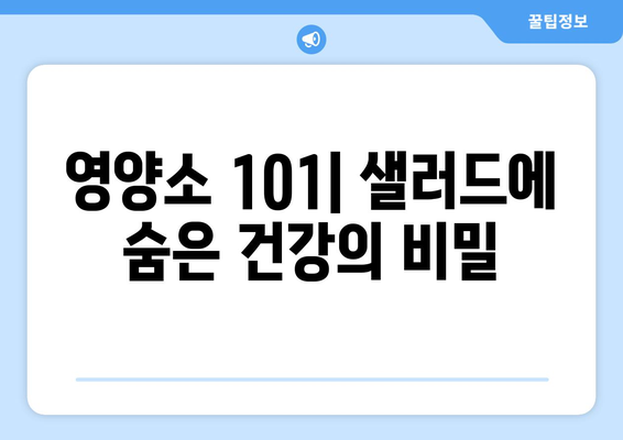 영양소 101| 샐러드에 숨은 건강의 비밀