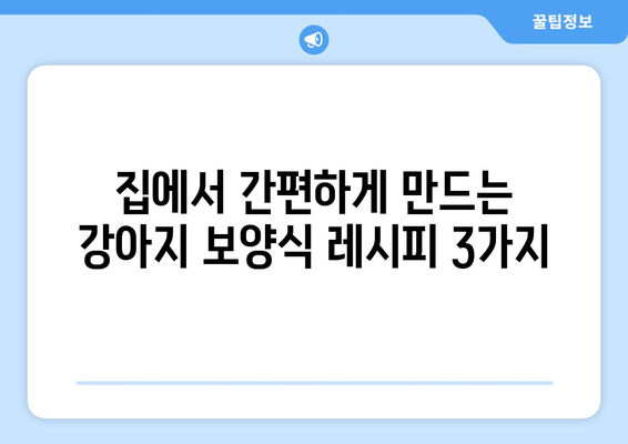 강아지 건강을 위한 보양식 레시피 공유