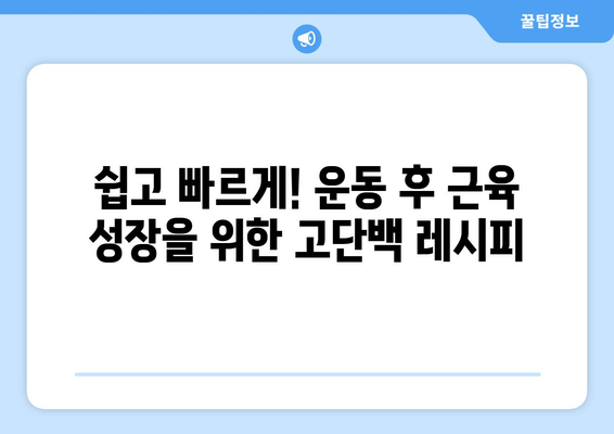 운동 애호가를 위한 고단백 식단 가이드: 건강하고 맛있는 레시피