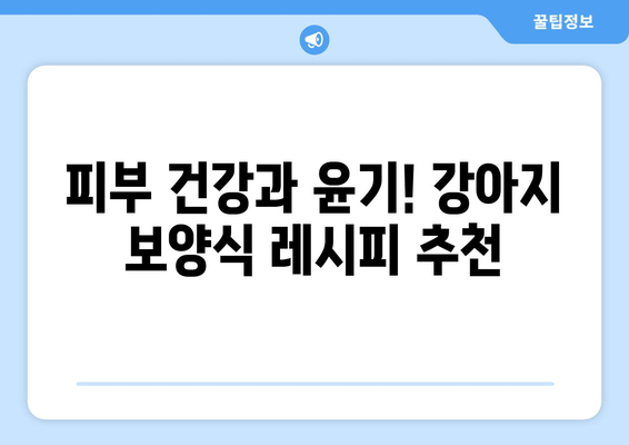 강아지 건강을 위한 보양식 레시피 공유