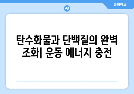 단백질이 풍부한 식단으로 체내 연료 공급: 운동 성능 향상 레시피