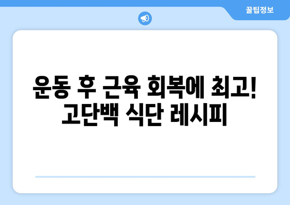 운동 애호가를 위한 고단백 식단 가이드: 건강하고 맛있는 레시피