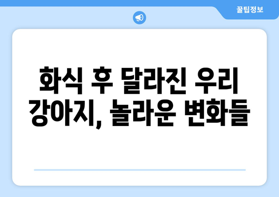 화식에서 배운 강아지 보양식 레시피와 후기 공유