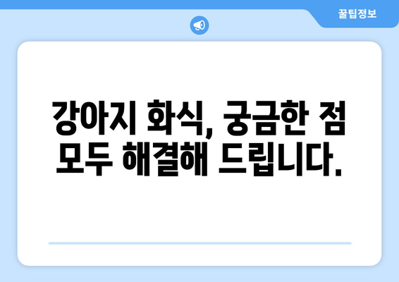 화식에서 배운 강아지 보양식 레시피와 후기 공유