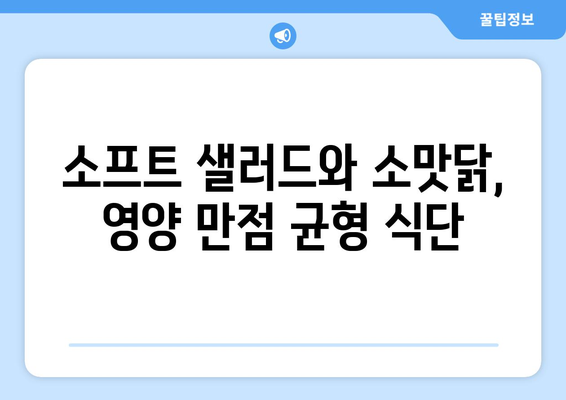 소프트 샐러드 레시피와 소맛닭으로 건강한 식단 관리