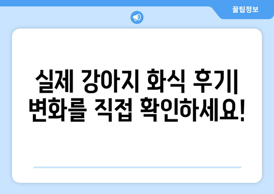 강아지 보양식의 힘: 화식 레시피 및 후기