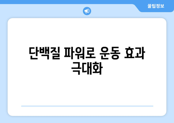 단백질이 풍부한 식단으로 체내 연료 공급: 운동 성능 향상 레시피