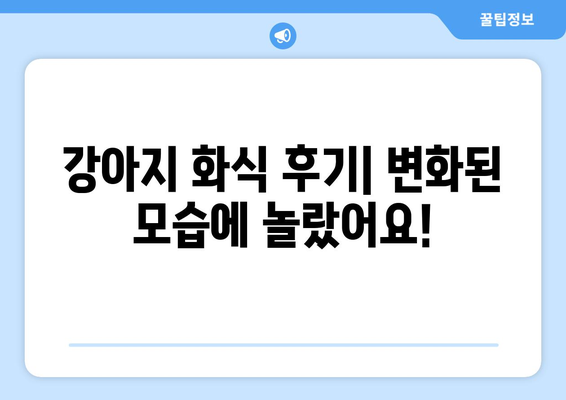 강아지 보양식 레시피: 화식 후기 및 공유