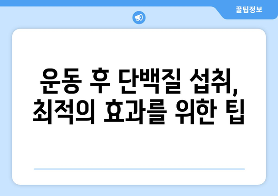 운동 애호가를 위한 고단백 식단: 힘과 회복을 위한 필수 요소