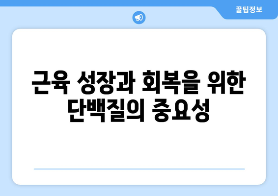 운동 애호가를 위한 고단백 식단: 힘과 회복을 위한 필수 요소