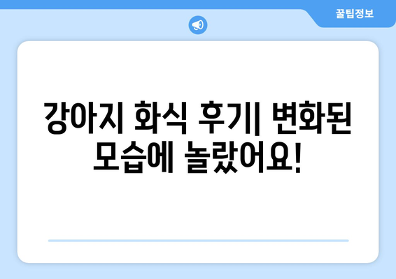 강아지 보양식 레시피 및 화식 후기