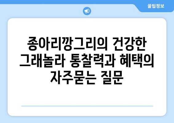 종아리깡그리의 건강한 그래놀라 통찰력과 혜택