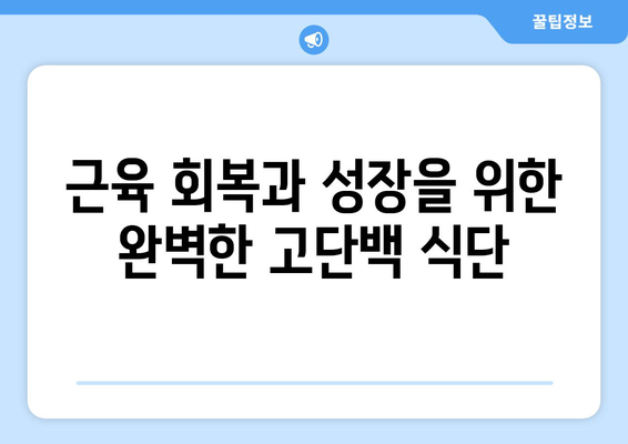 힘든 운동 후 고단백 채우기: 만족스러운 레시피 탐구