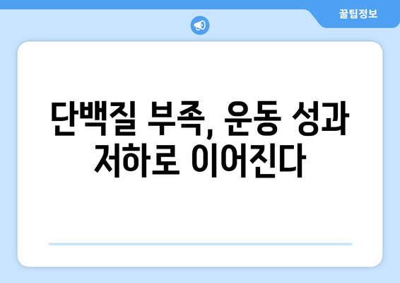 운동 애호가를 위한 고단백 식단: 힘과 회복을 위한 필수 요소